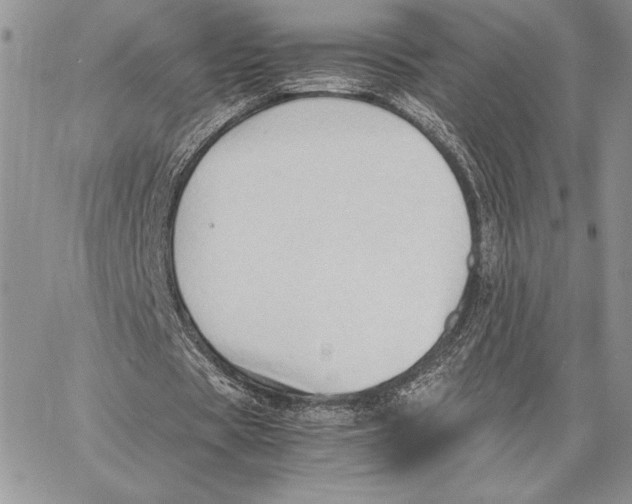 X0000062870529200602031719