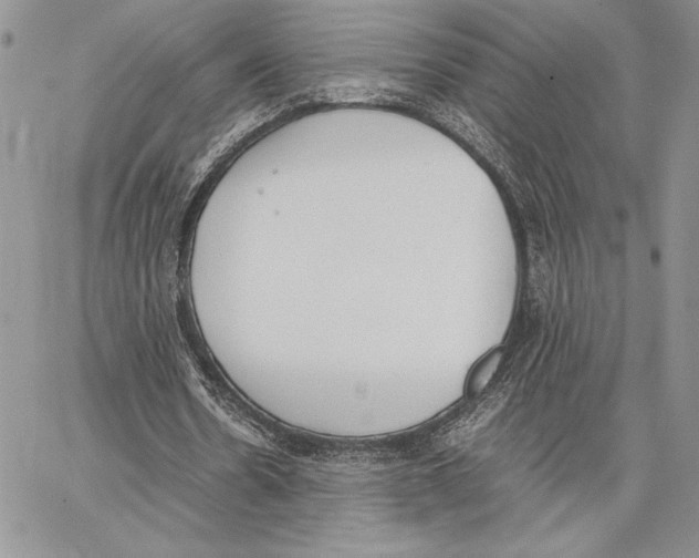 X0000062870530200602031719