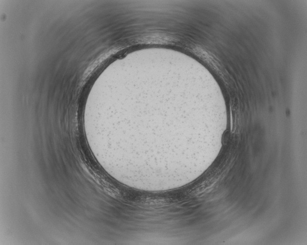 X0000062870531200602031719