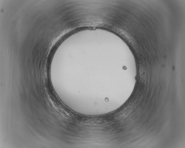 X0000062870532200602031719