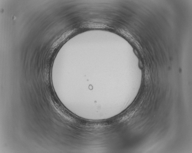 X0000062870533200602031719