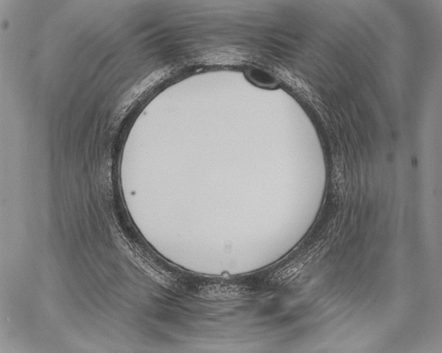 X0000062870535200602031719