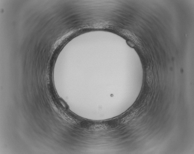 X0000062870536200602031719