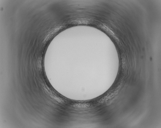 X0000062870537200602031719