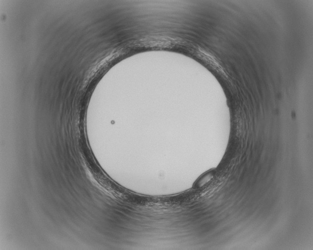 X0000062870538200602031719