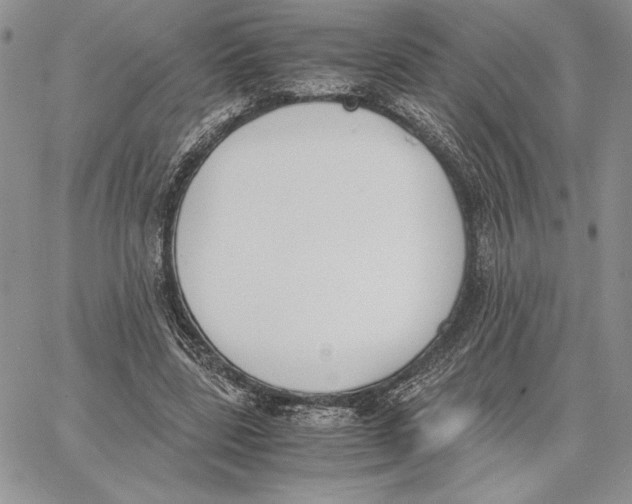 X0000062870539200602031719