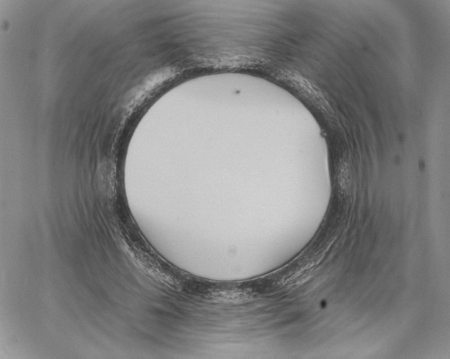 X0000062870540200602031719