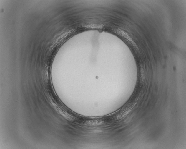 X0000062870541200602031719