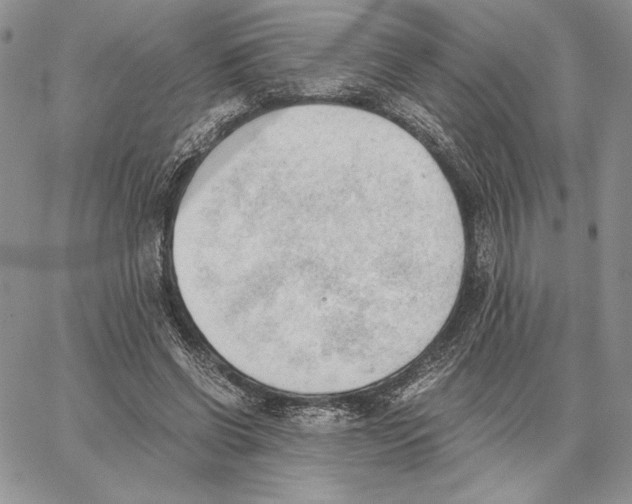 X0000062870542200602031719