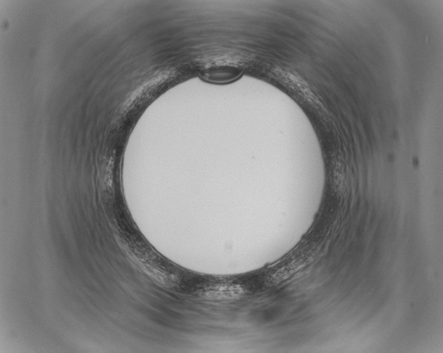 X0000062870543200602031719