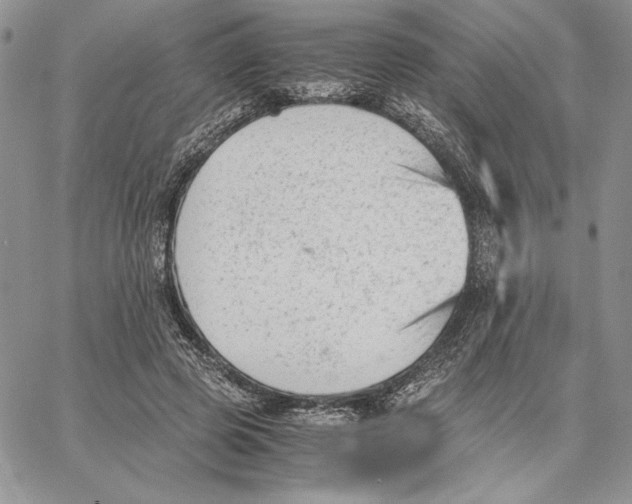 X0000062870545200602031719