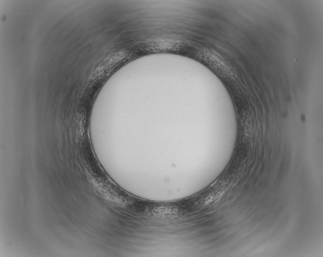 X0000062870546200602031719