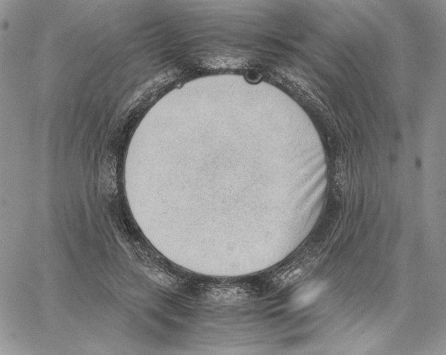 X0000062870547200602031719