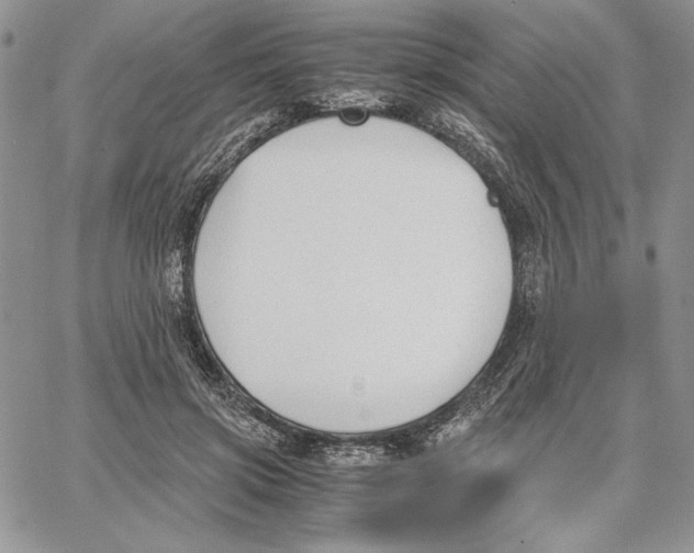 X0000062870549200602031719