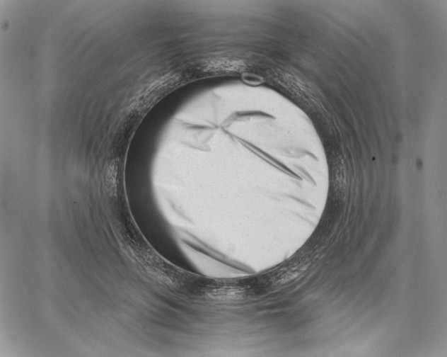 X0000062870551200602031719