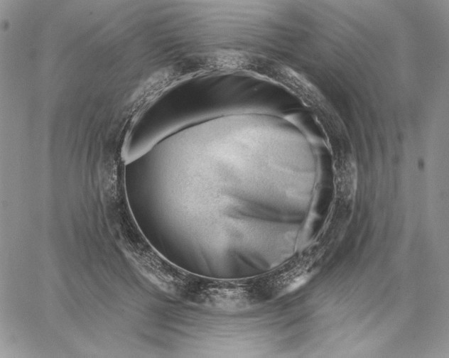 X0000062870552200602031719