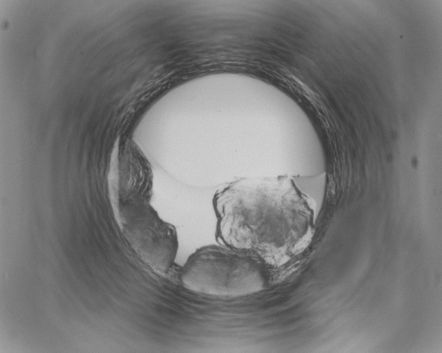 X0000062870553200602031719