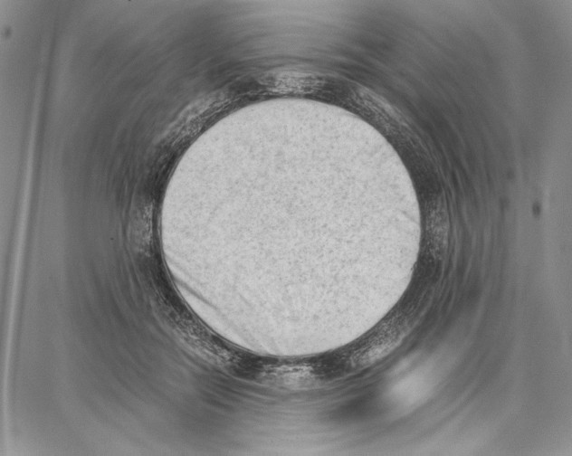 X0000062870554200602031719