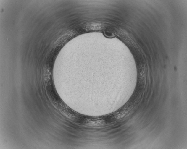 X0000062870555200602031719