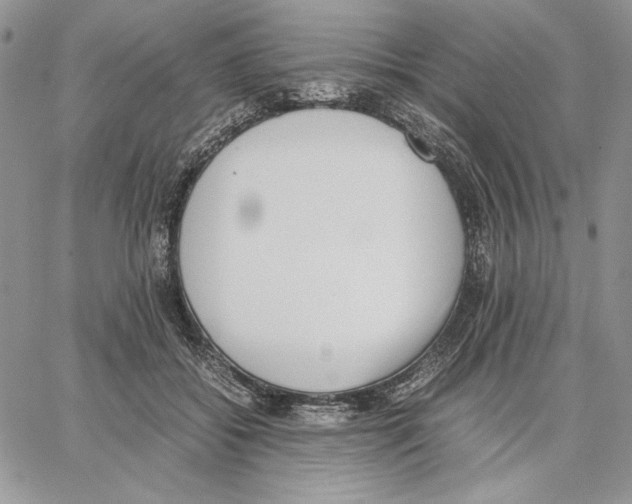 X0000062870556200602031719