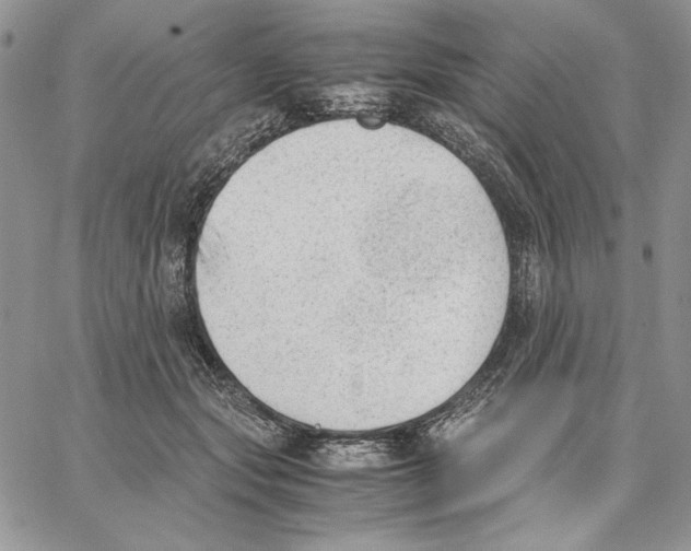 X0000062870557200602031719