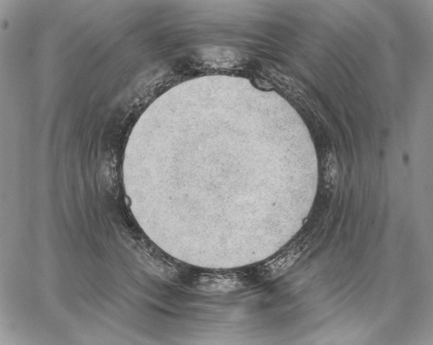 X0000062870559200602031719