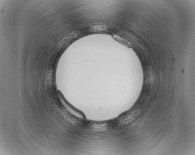 X0000062870560200602031719