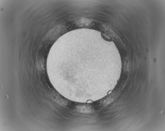 X0000062870561200602031719