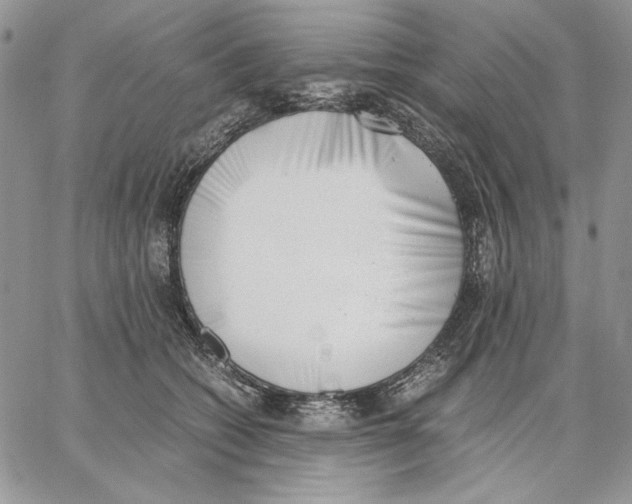 X0000062870562200602031719