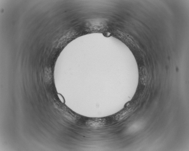 X0000062870563200602031719