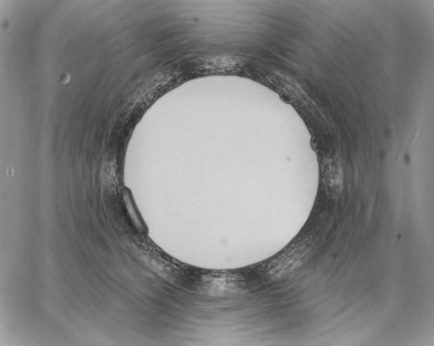 X0000062870564200602031719