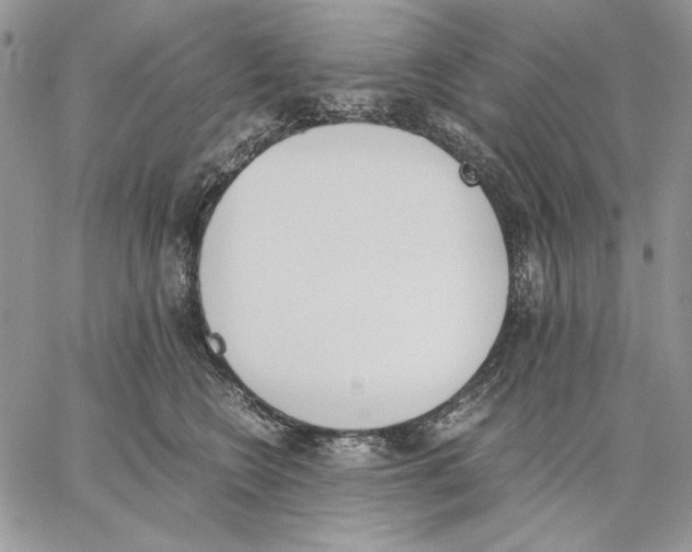 X0000062870566200602031719