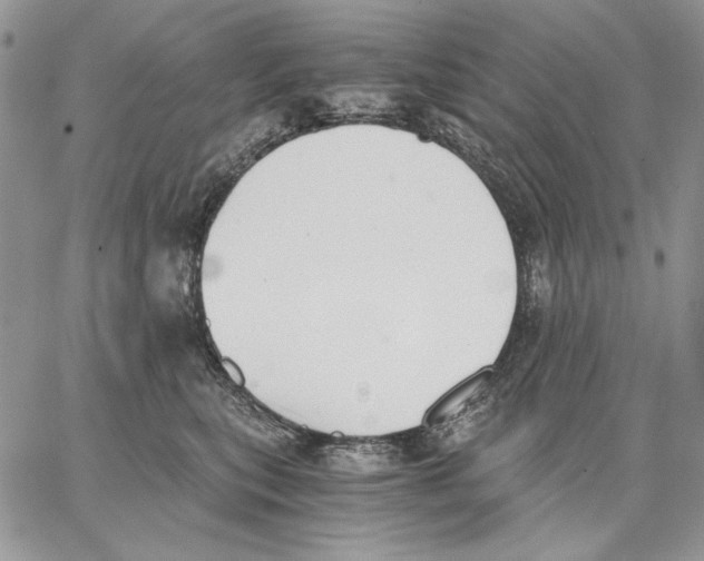 X0000062870567200602031719