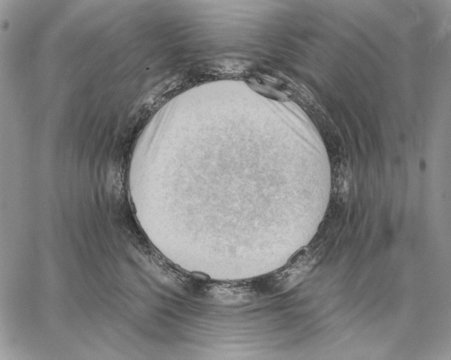 X0000062870568200602031719