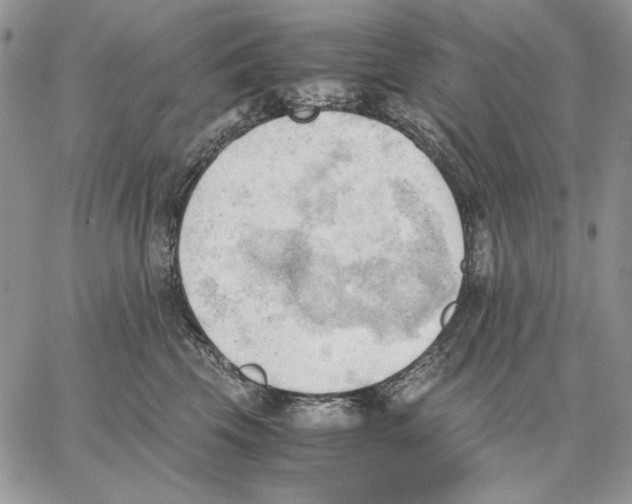 X0000062870569200602031720