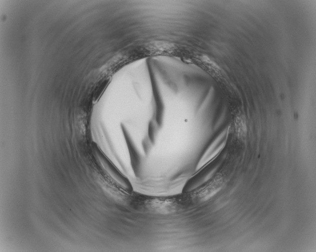 X0000062870570200602031720