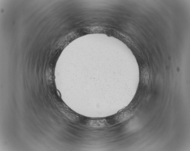 X0000062870571200602031720