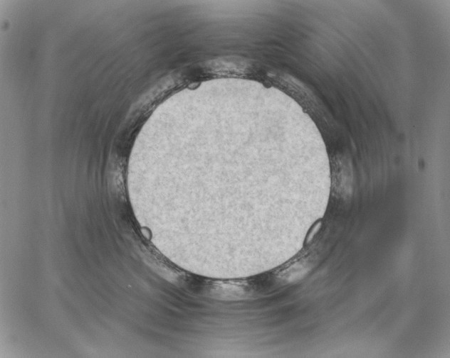 X0000062870573200602031720