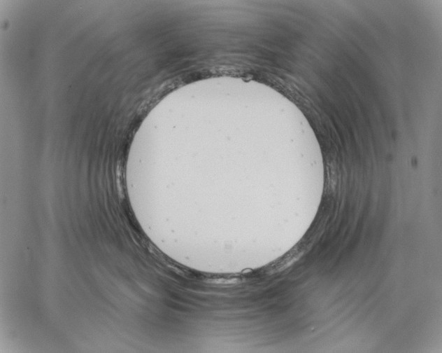 X0000062870575200602031720