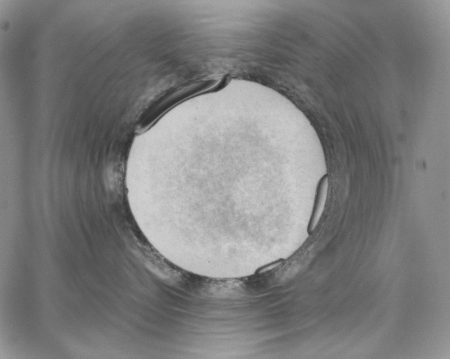 X0000062870576200602031720