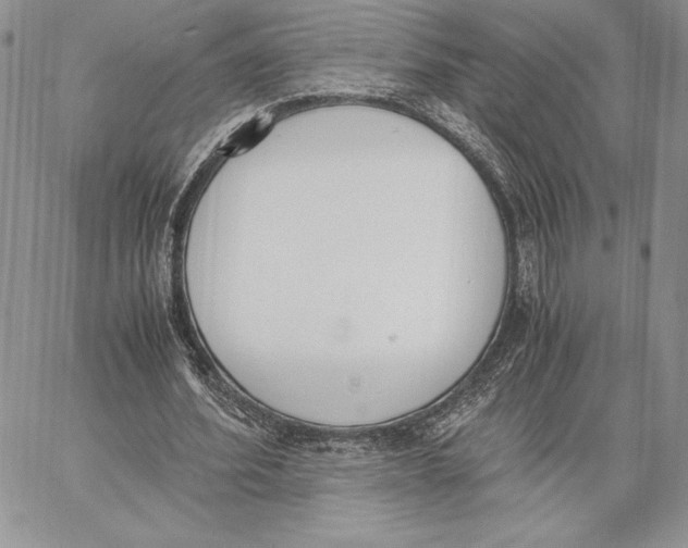 X0000062870580200602031719