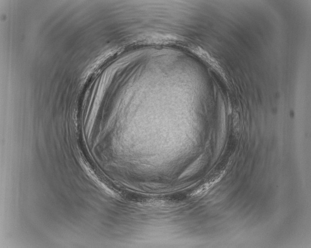 X0000062870581200602031719