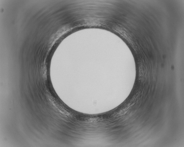 X0000062870584200602031719