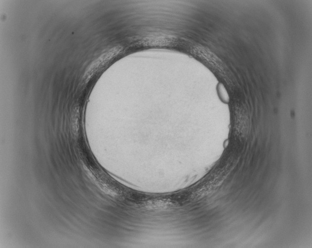 X0000062870586200602031719