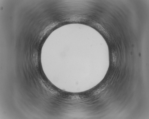 X0000062870588200602031719