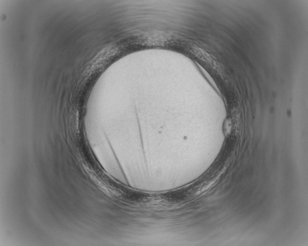 X0000062870589200602031719