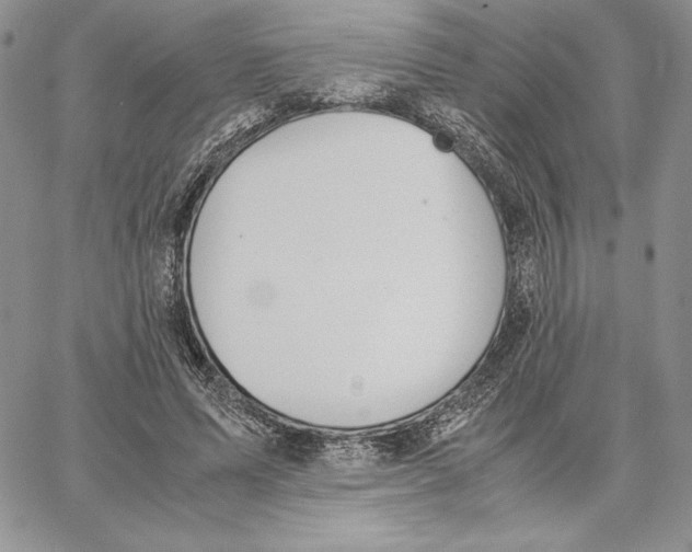 X0000062870591200602031719