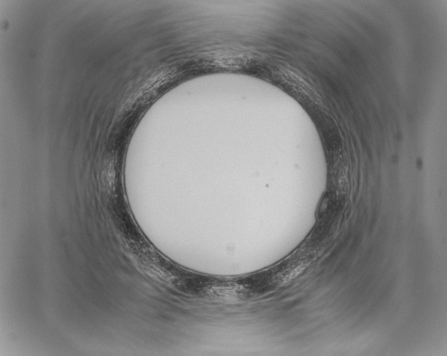 X0000062870595200602031719