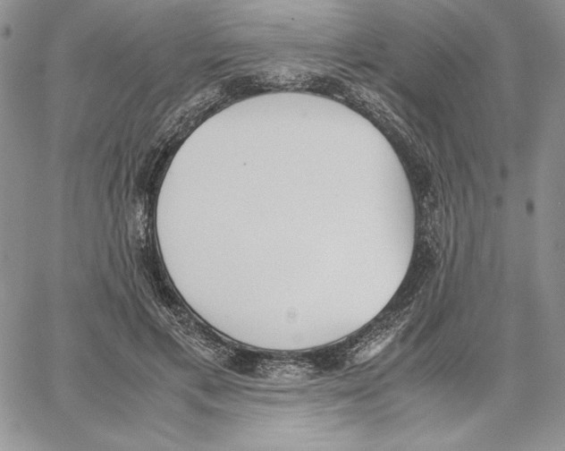 X0000062870597200602031719