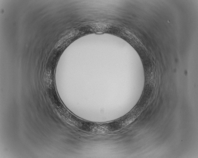 X0000062870599200602031718